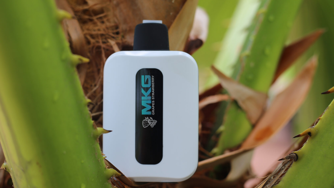 How Does Dual Mesh Coil TFT Screen Animation Vape Be Protected From Environmental Influences?