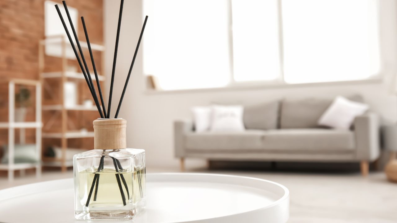 Are Reed Diffusers Safe For Your Pet?